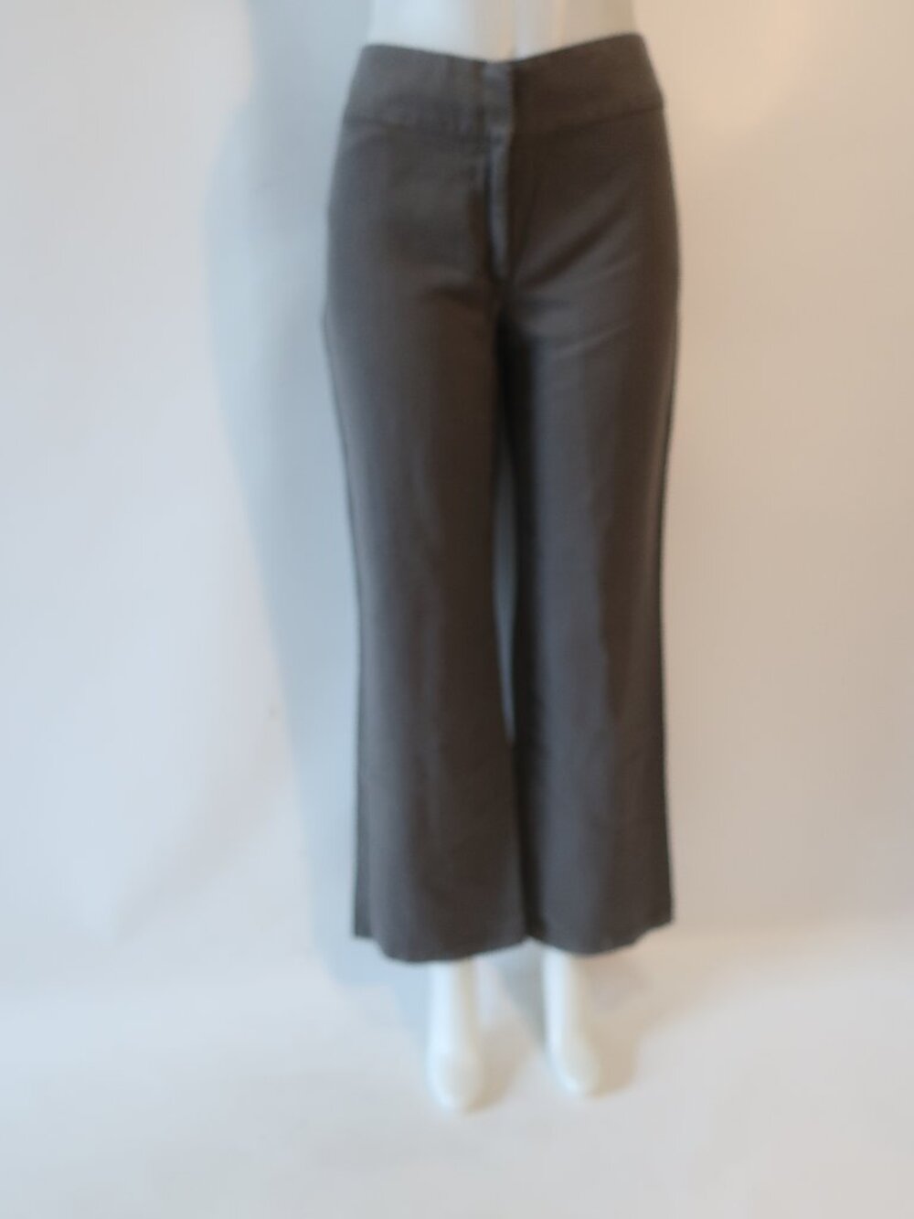 NWT Womens Eileen Fisher Rye Grey (Item-82) Trouser W/ Yoke Wide Leg Pant 10P